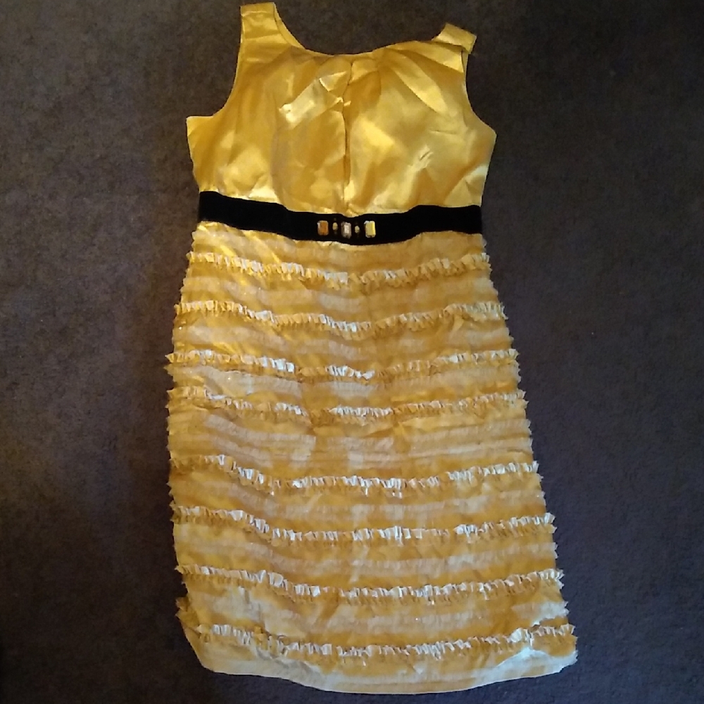 Brand Pretty Size 14 Dress Champagne Black